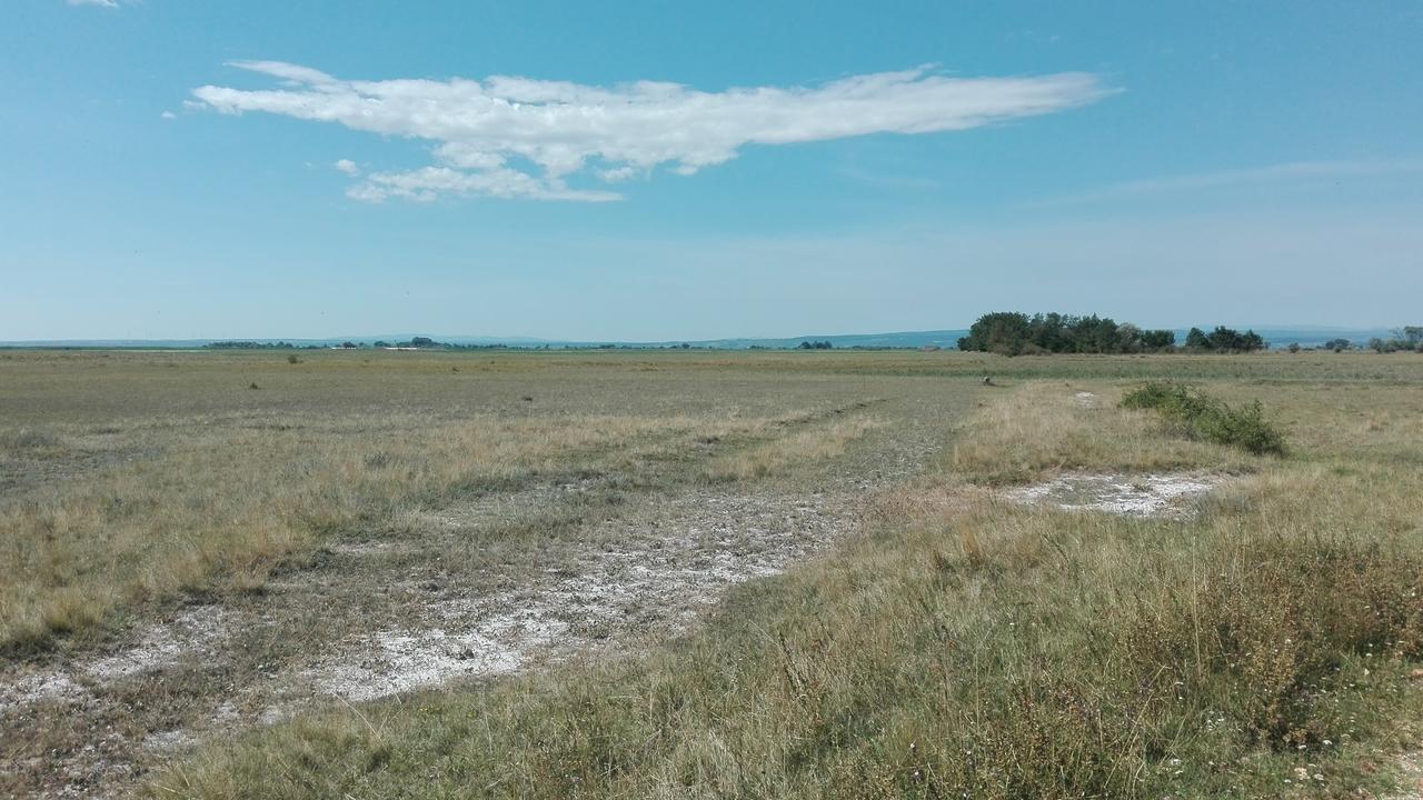אילמיץ Ferienwohnungen Feldsee מראה חיצוני תמונה