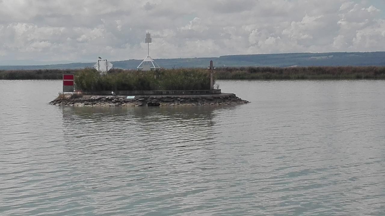 אילמיץ Ferienwohnungen Feldsee מראה חיצוני תמונה